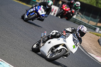 Lower Group White Bikes